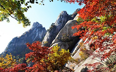 가을의끝자락에서~~