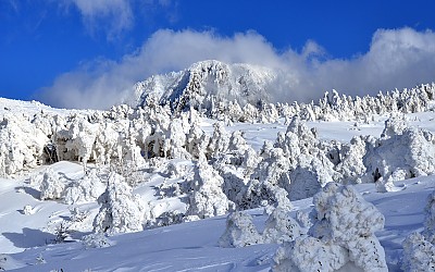 한라산
