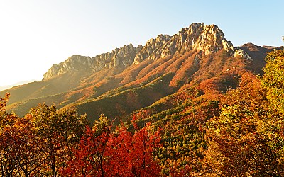 울산암