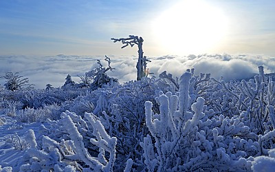 태백산