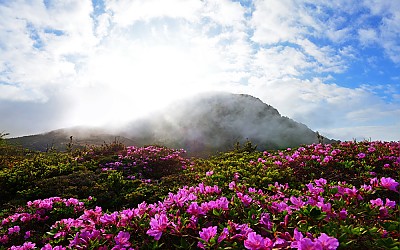 봄의 끝자락에서~~