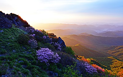 일출빛