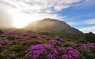 한라산