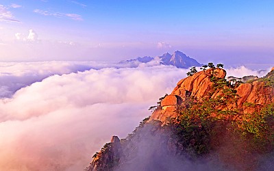 즐거운 명절 입니다