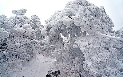 한라산