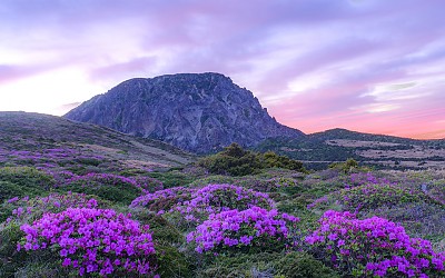 한라산