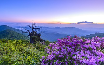 함백산