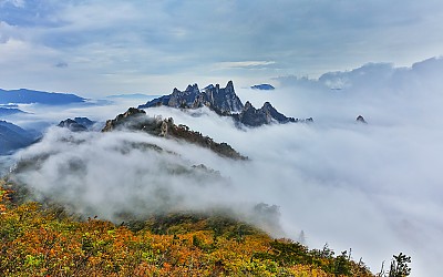 공룡능선 단풍과 운해