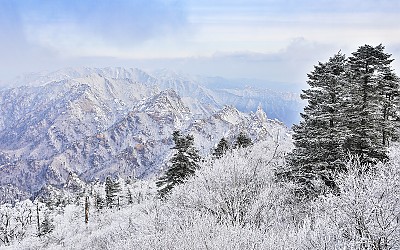 설악 상고대