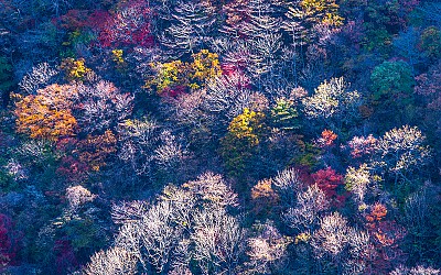 운장산 가을