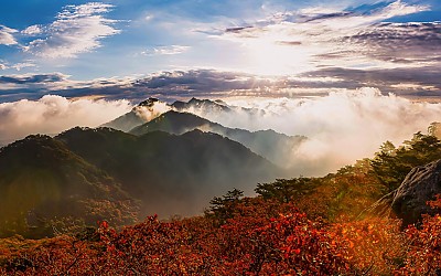 속리의 가을아침