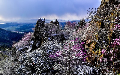 공존의 계절