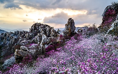 춘설내린 주작산