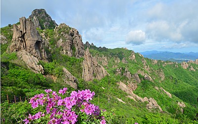 봄의색
