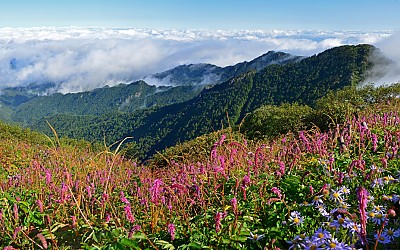 지리산