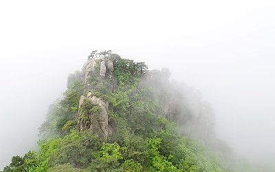 몽환의 에덴동산