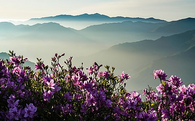 지리산 !