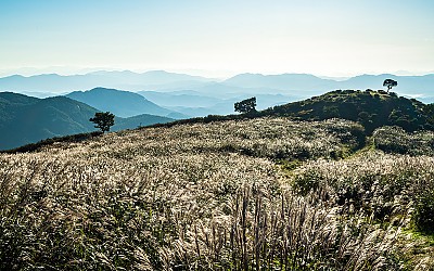 황매산 !