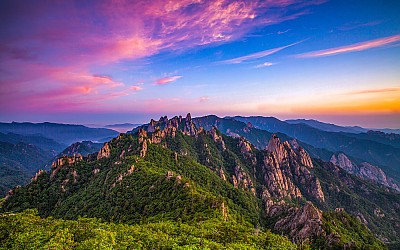 공룡의 아침풍경