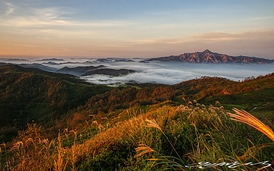 가을산하