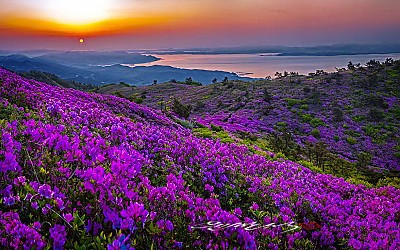 보성/일림산