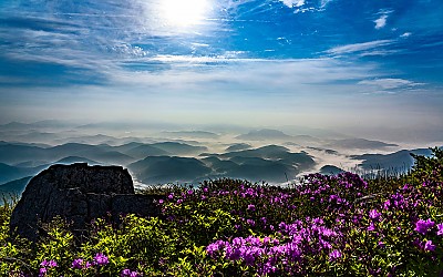 빛고을광주