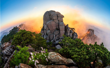 라일락 향기에 취한 자운봉