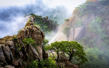 운무에 잠기다.