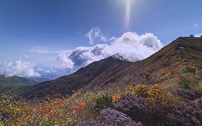 설악단풍