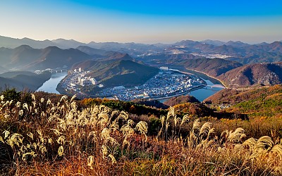 양백산 억새