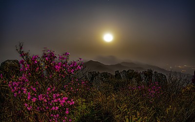 달이지는 덕룡산의 새벽