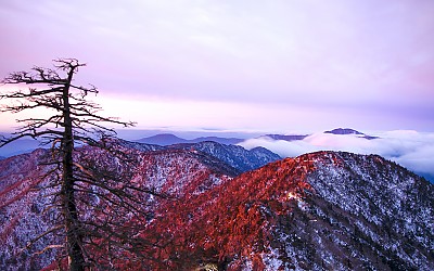 지리산