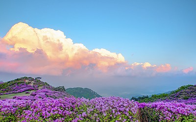 황매산
