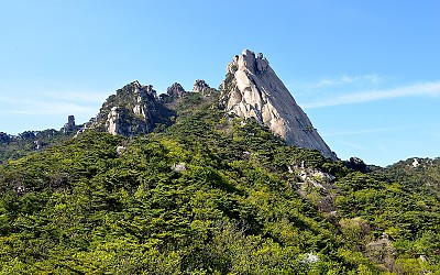 도봉산 연두빛 녹음