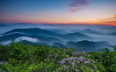 봄이 있는 산정에서