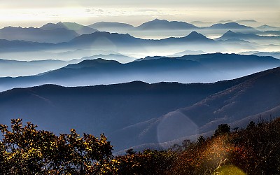 오도산이 저건너에