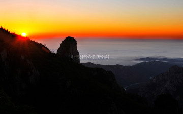 새해 복 많이 반으세요