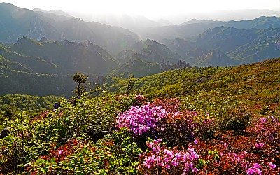 설악산