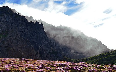한라산