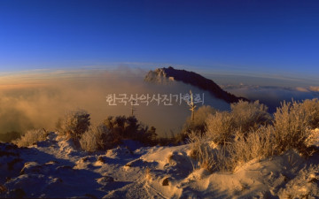 드럼스캔 결과물입니다..