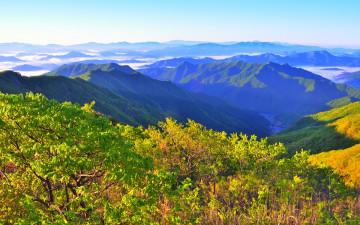운장산 성대봉의 빛그림