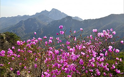 도봉산