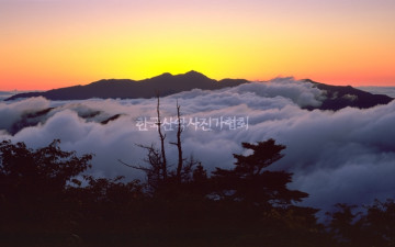 반야에서 본  주능