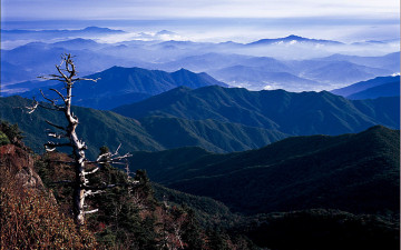 지리산  중봉에서