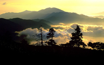 칠선계곡의 운해