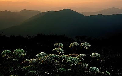 덕유의 여명.
