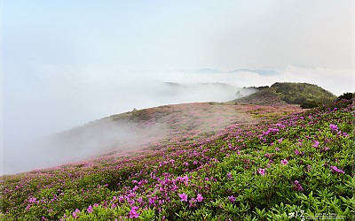 운해바다 황매산