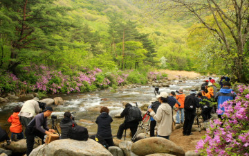 지리산의 미, 봄