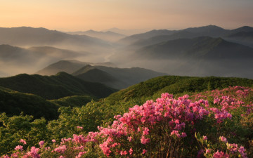 지리산의 미 (봄)