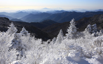 지리산의 미. 연화봉에서본 남쪽 능파